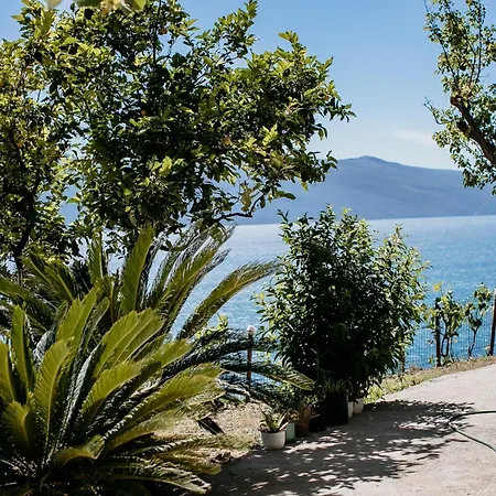 Del Mar * Vlore