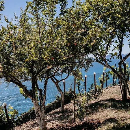 Del Mar Maison d'hôtes *